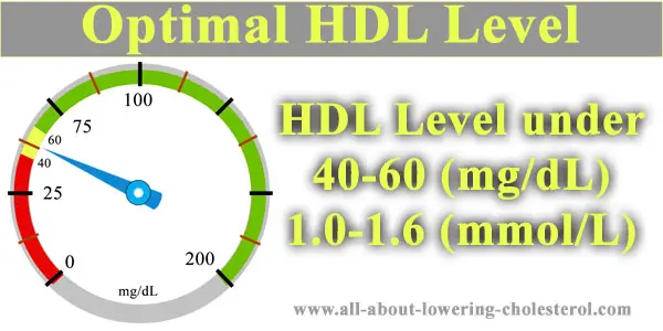 hdl-level-40-60-all-about-lowering-cholesterol