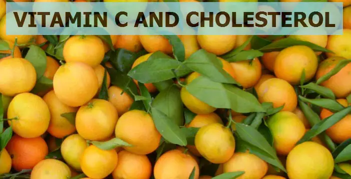 vitamin-c-and-cholesterol-all-about-lowering-cholesterol