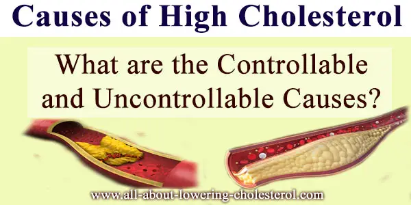 causes-of-high-cholesterol-all-about-lowering-cholesterol