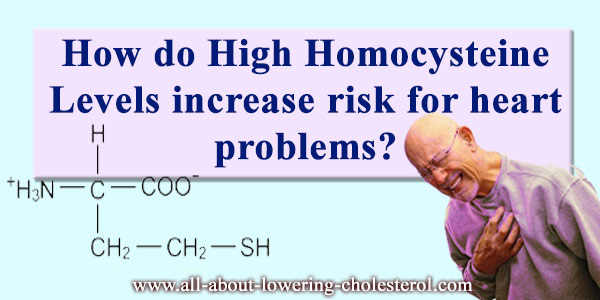 how-do-high-Homocysteine-levels-all-about-lowering-cholesterol