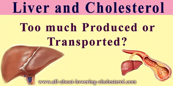 liver-and-cholesterol-all-about-lowering-cholesterol