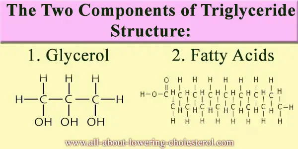 the-two-components-of-triglyceride-structure-all-about-lowering-cholesterol
