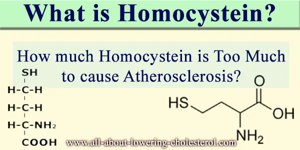 what-is-homocysteine-all-about-lowering-cholesterol