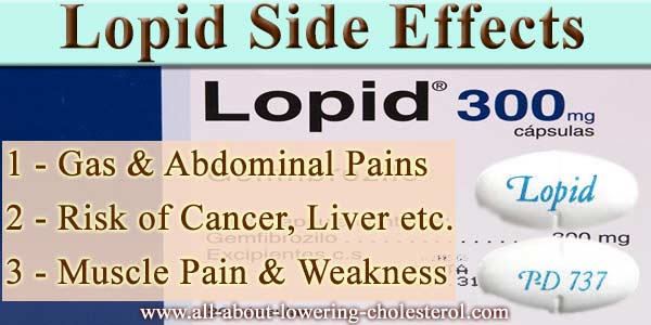 lopid-side-effect-all-about-lowering-cholesterol