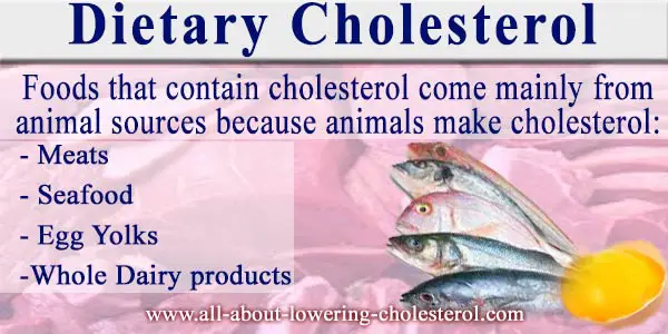 dietary-cholesterol-all-about-lowering-cholesterol