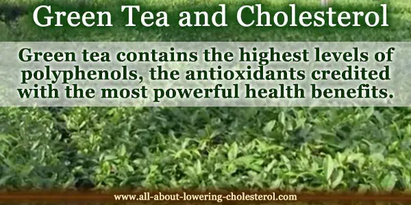 greentea-cholesterol-all-about-lowering-cholesterol