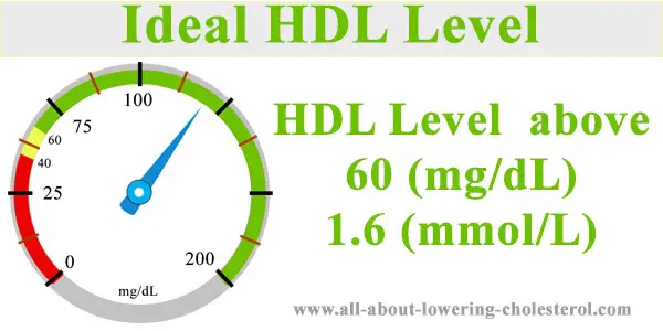 hdl-level-over-60-all-about-lowering-cholesterol