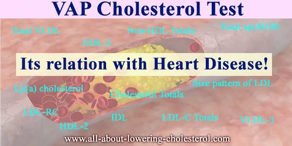 vap-cholesterol-test-all-about-lowering-cholesterol