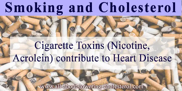 smoking-and-cholesterol-all-about-lowering-cholesterol