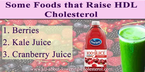 some-foods-that-raise-hdl-cholesterol-all-about-lowering-cholesterol