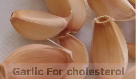 garlic-cholesterol-all-about-lowering-cholesterol