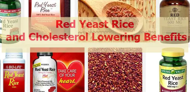 red-yeast-rice-cholesterol-all-about-lowering-cholesterol