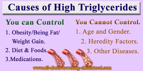 Causes Of High Triglycerides   Xcauses Of Hight Triglycerides 